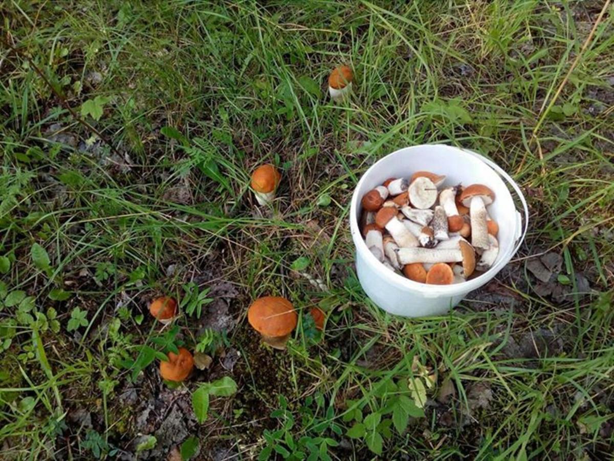 Agroturystyka A&G Dubeninki Esterno foto
